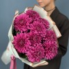 9 фиолетовых хризантем Ламира