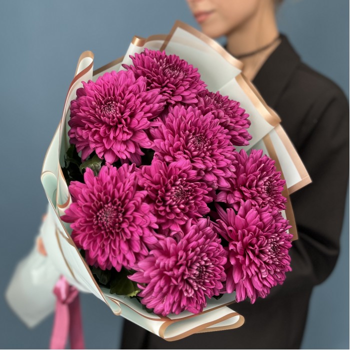 9 фиолетовых хризантем Ламира