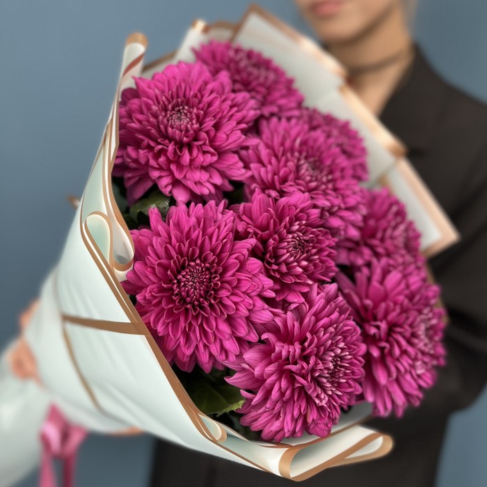 9 фиолетовых хризантем Ламира