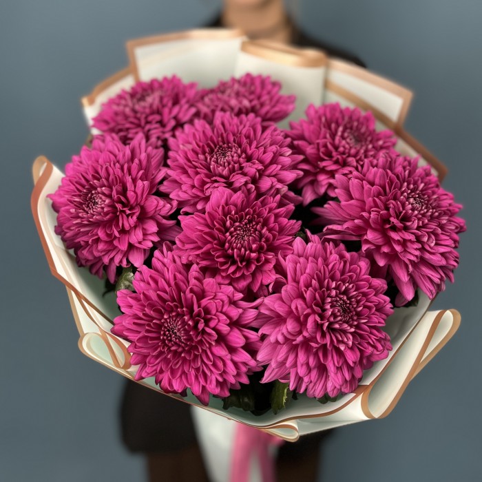 9 фиолетовых хризантем Ламира