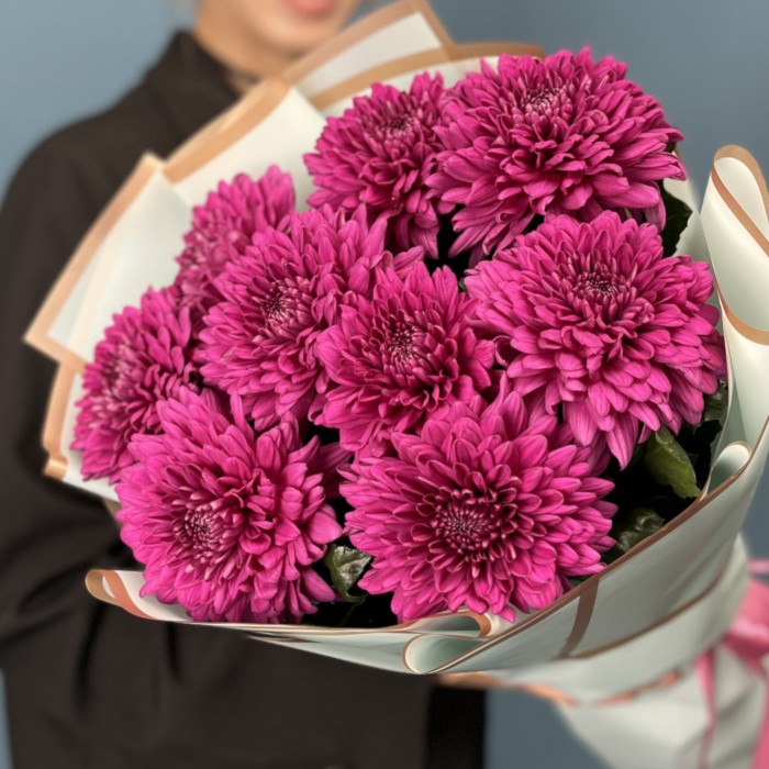 9 фиолетовых хризантем Ламира