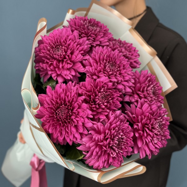 9 фиолетовых хризантем Ламира