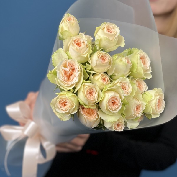 5 кустовых персиково-зелёных роз Павлова 50 см