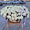 151 французская Роза Мондиаль в корзине