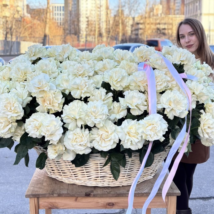 151 французская Роза Мондиаль в корзине