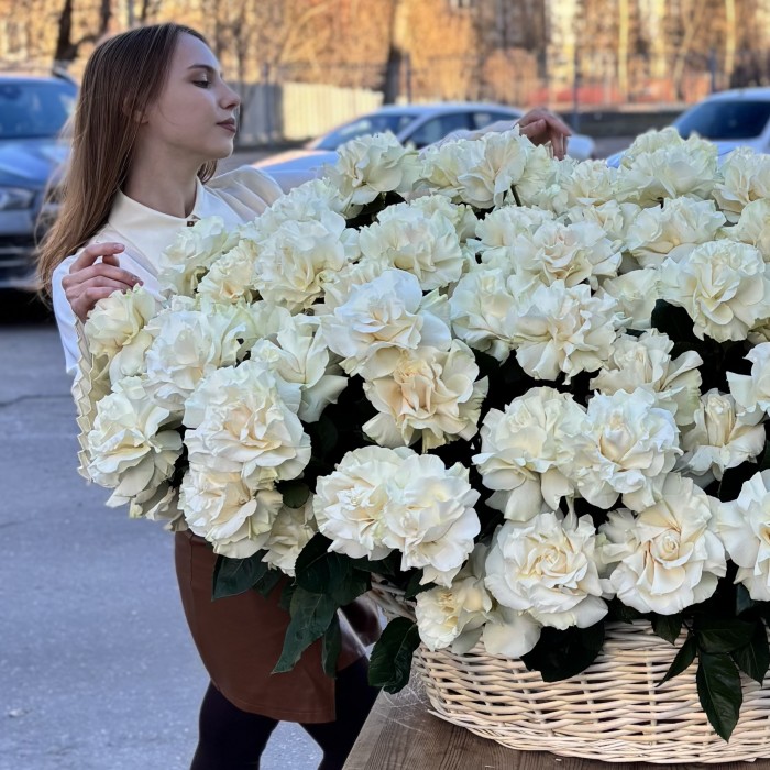 151 французская Роза Мондиаль в корзине