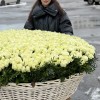 1001 нежная белая роза в корзине
