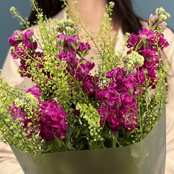 Букет из пяти малиновых маттиол с гринбелом