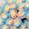 25 радужных розово-бело-голубых роз 70 см