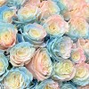51 радужная розово-бело-голубая роза 60 см