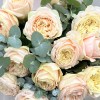 15 персиковых пионовидных роз Присцилла 50 см