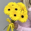 Гербера Желтая