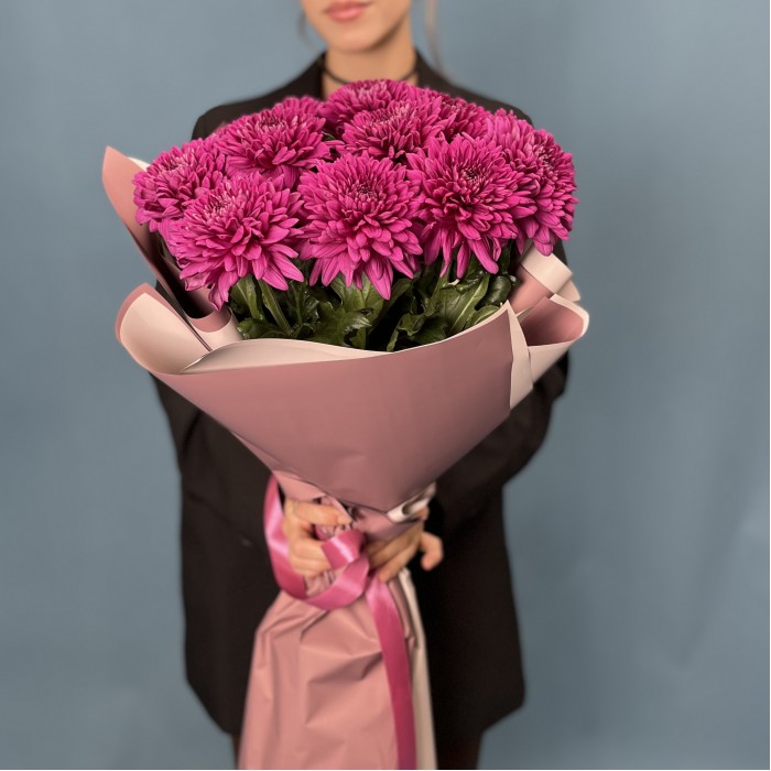 15 фиолетовых хризантем Ламира