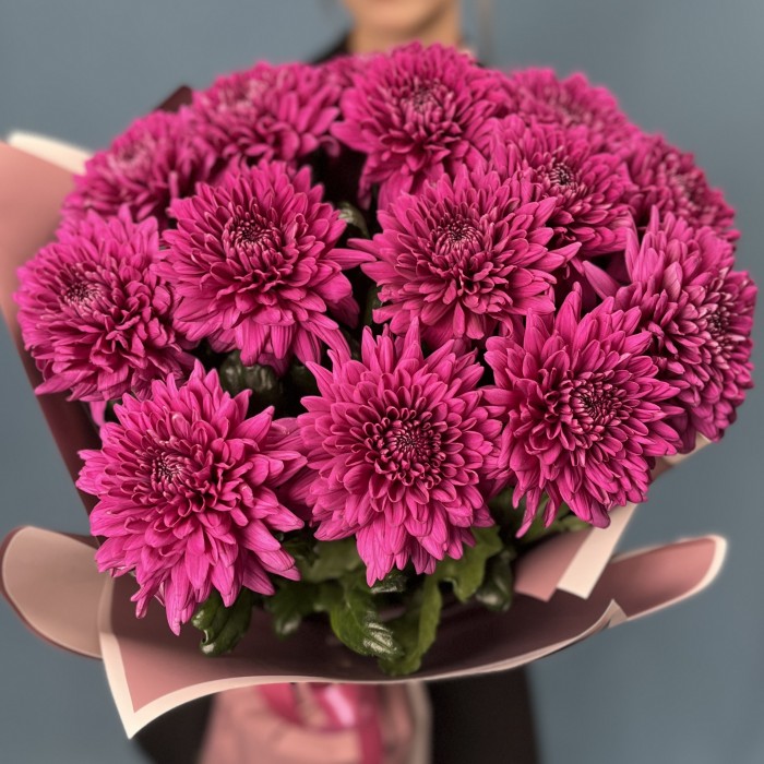 15 фиолетовых хризантем Ламира