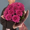 15 фиолетовых хризантем Ламира