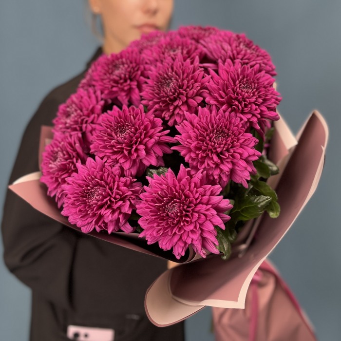 15 фиолетовых хризантем Ламира