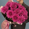 15 фиолетовых хризантем Ламира