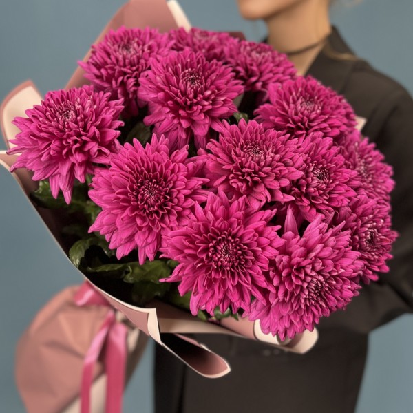 15 фиолетовых хризантем Ламира