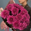 15 фиолетовых хризантем Ламира