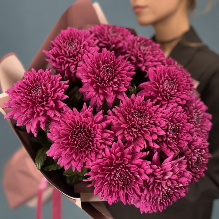 15 фиолетовых хризантем Ламира