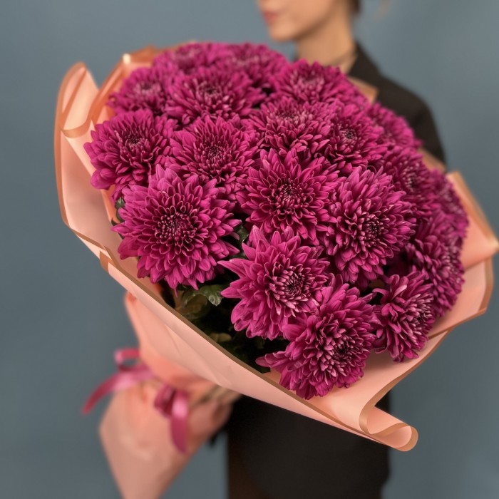 25 фиолетовых хризантем Ламира