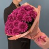 25 фиолетовых хризантем Ламира