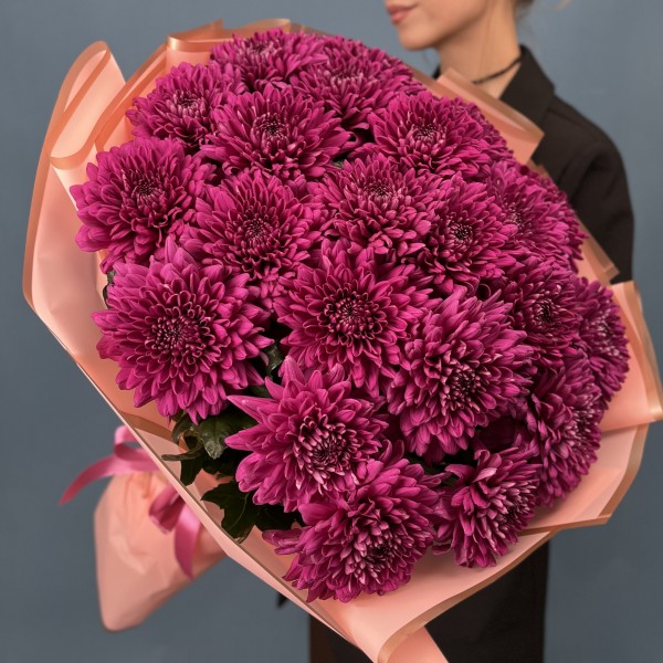25 фиолетовых хризантем Ламира