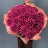 25 фиолетовых хризантем Ламира