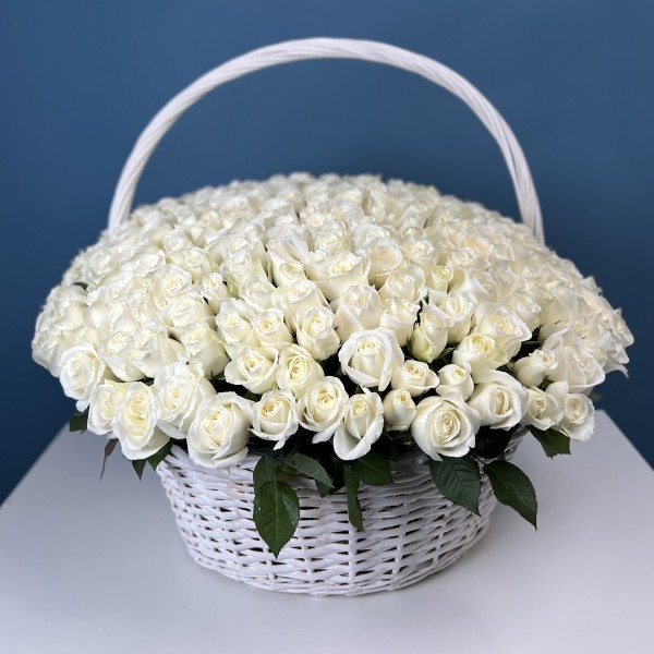 301 белая роза в корзине
