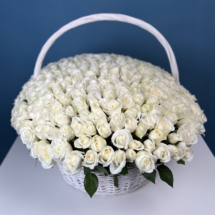 301 белая роза в корзине