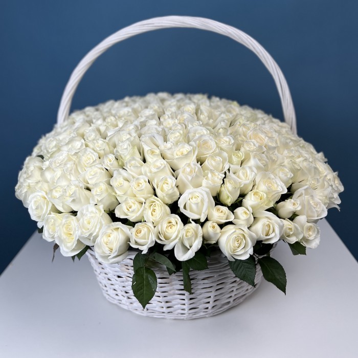 301 белая роза в корзине