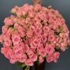 35 кустовых роз Одилия 60 см
