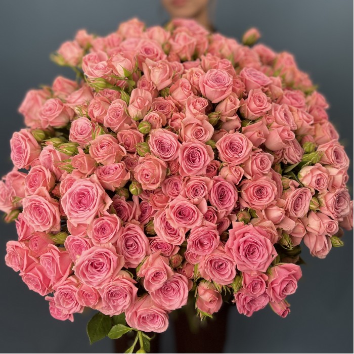 35 кустовых роз Одилия 80 см