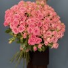 35 кустовых роз Одилия 70 см