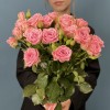 5 кустовых розовых роз Одилия 60 см
