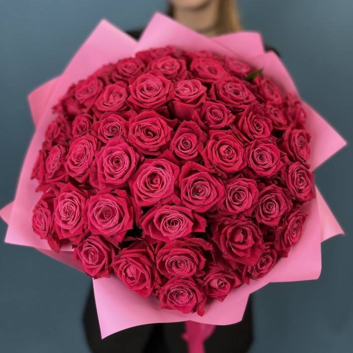 51 малиновая роза Шангрила 40 см