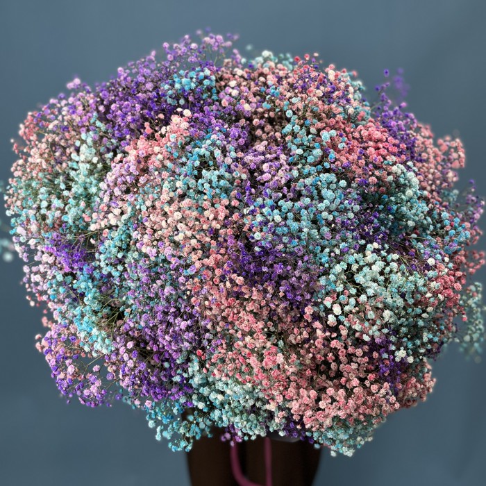 51 нежная гипсофила MIX