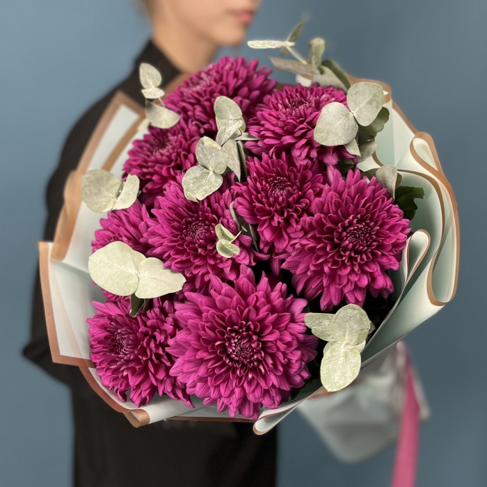 9 фиолетовых хризантем Ламира с эвкалиптом