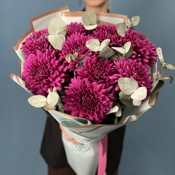 9 фиолетовых хризантем Ламира с эвкалиптом