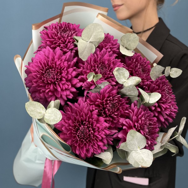 9 фиолетовых хризантем Ламира с эвкалиптом