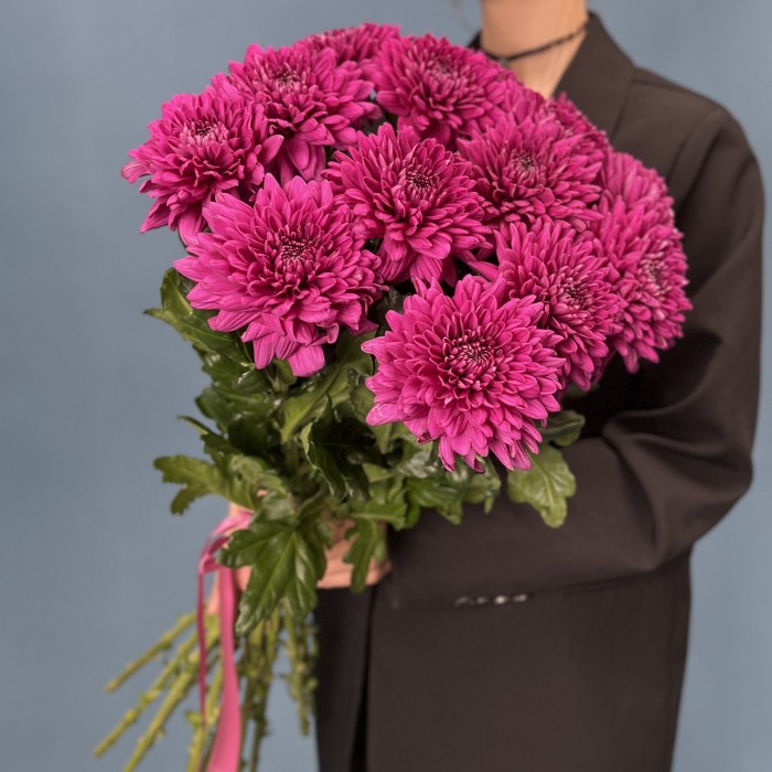 Хризантема фиолетовая Ламира