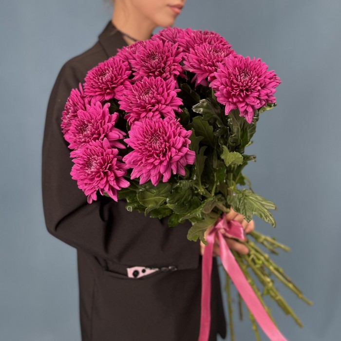 Хризантема фиолетовая Ламира