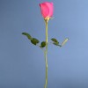 Роза 40 см Розовая Аква