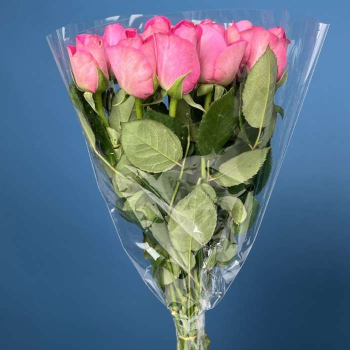 Роза 40 см Розовая Аква