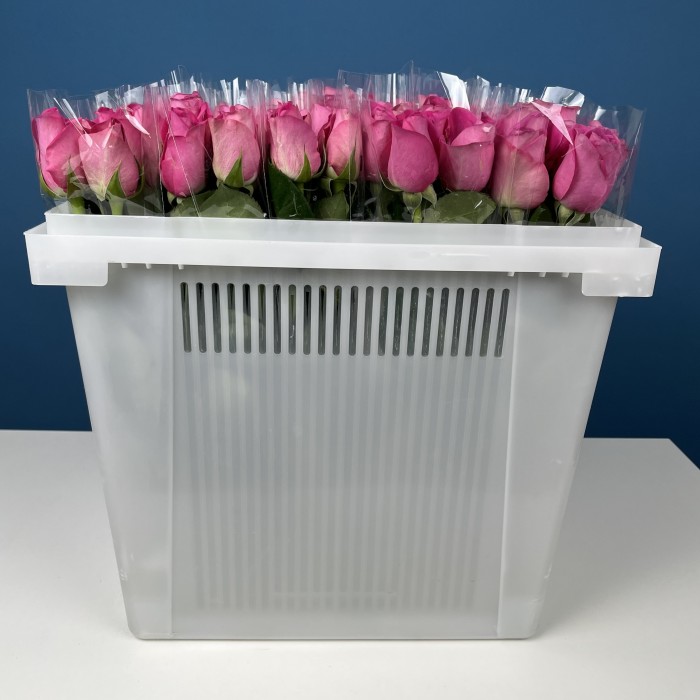 Роза 40 см Розовая Аква