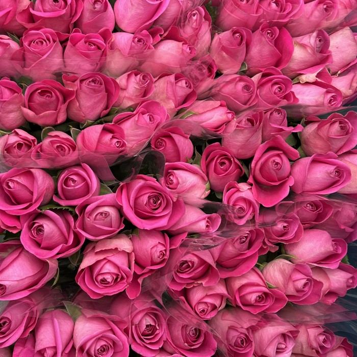 Роза 40 см Розовая Аква