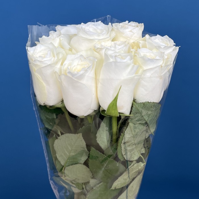 Роза 40 см Белая Каунтдаун