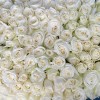 Роза 40 см Белая Каунтдаун