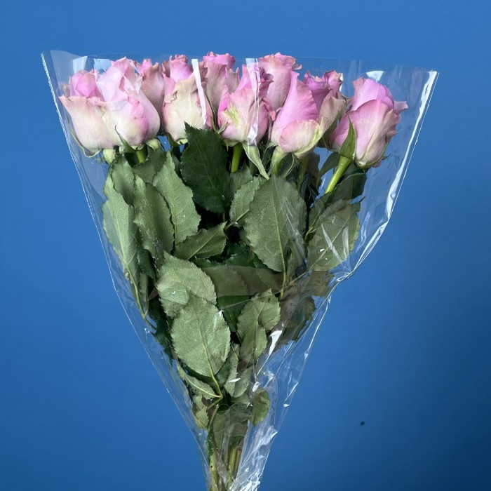 Роза 40 см Сиреневая Найтингейл