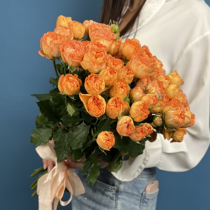 Кустовая пионовидная Роза Оранжевая Трендсеттер 40см